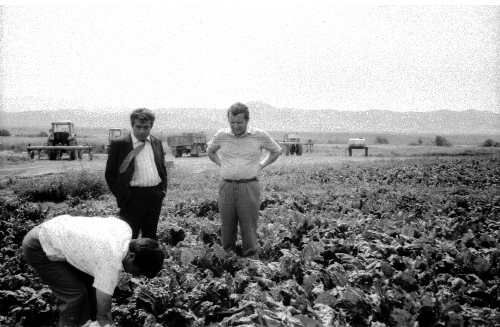 Профессор В. М. Инюшин с Б. Ниязбековым на опытном поле по выращиванию сахарной свеклы; чёрно-белый архивный снимок